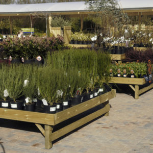 Square Shrub/ Bedding Display Table