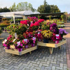 Hexagonal Bedding Table Arrangement Set with Splayed Leg (1350mm W) 4 x Sets (12 x Tables in total) £1,499 Delivered* - Image 3
