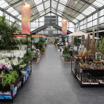 Dobbies Stores of the future by Stagecraft Display