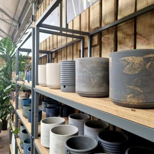 Wall Unit Houseplant Display stagecraft (2) Wall Unit Houseplant Display stagecraft (2)
