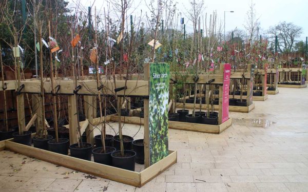 Haskins-plant-area-11