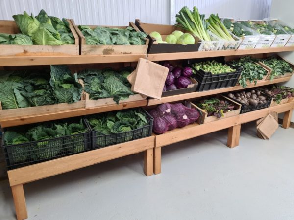 PRODUCE DISPLAY UNIT Flitvale GC (6)