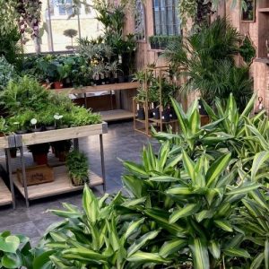 Houseplant Table Arrangement (Metal Frame with Treated Timber) Pallet Deal 2 x Sets (6 tables) £1949.99 Delivered* - Image 8