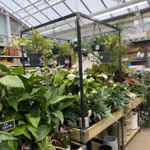 Houseplant ad-on Frame by stagecraft display Ltd