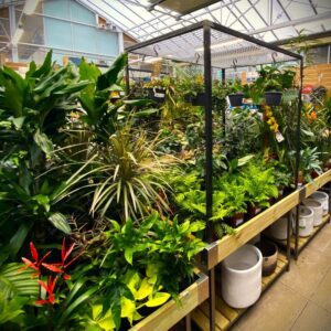 Houseplant ad-on Frame by stagecraft display Ltd