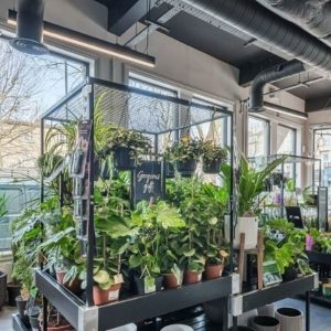 Houseplant Table Add-On Frame - Image 6