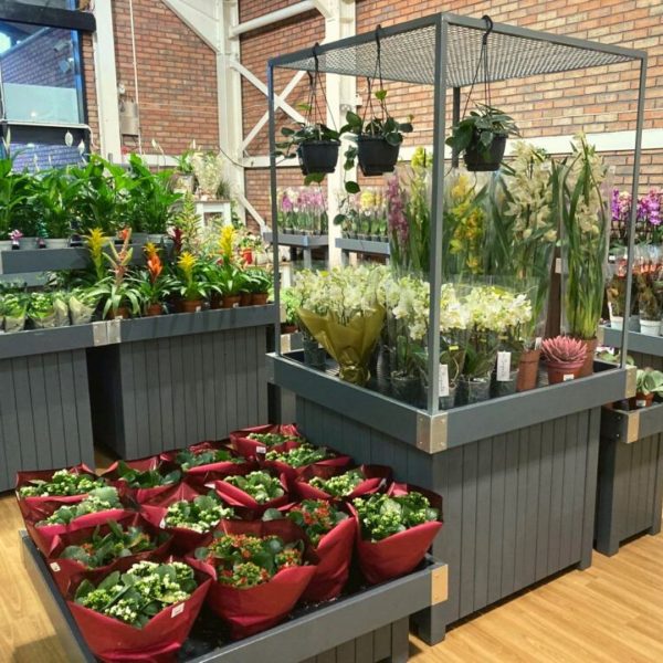 Burleydam Houseplant Area web case studie featured image Burleydam Houseplant Area web case study featured image
