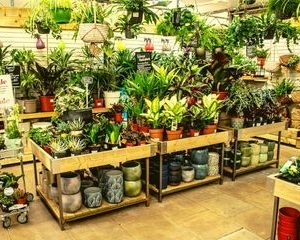 Houseplant Table Arrangement (Metal Frame with Treated Timber) Pallet Deal 2 x Sets (6 tables) £1949.99 Delivered* - Image 7