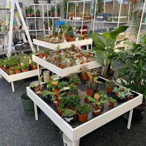 HOUSEPLANT TABLE ARRANGEMENT (METAL FRAME WITH MFC) - Image 5