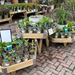 Hexagonal Bedding Table Arrangement Set with Splayed Leg (1350mm W) 4 x Sets (12 x Tables in total) £1,499 Delivered* - Image 7