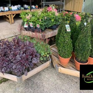 Hexagonal Bedding Table Arrangement Set with Splayed Leg (1350mm W) 4 x Sets (12 x Tables in total) £1,499 Delivered* - Image 6
