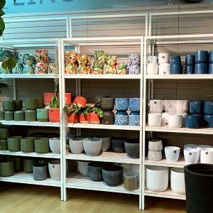 Iron Acton Houseplant Area by Stagecraft website images (3)