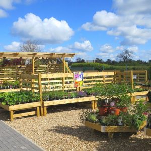 Rectangular Shrub Table - Image 5