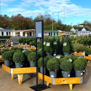 Plant Area Displays