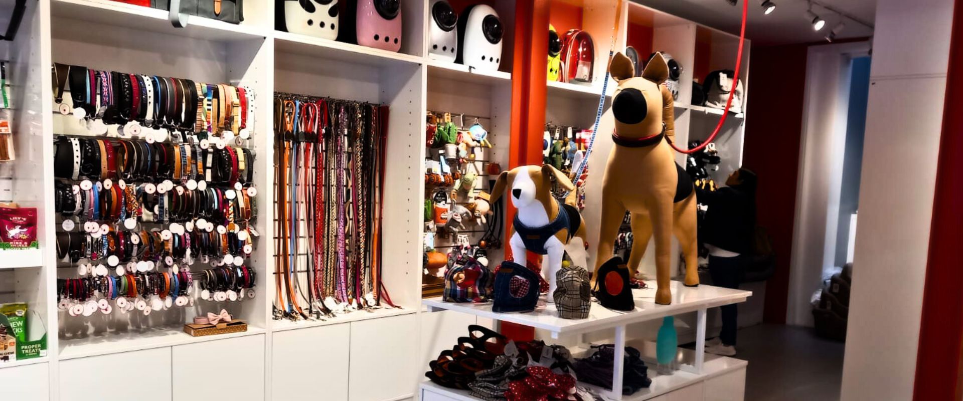 Pet sales shop newtown