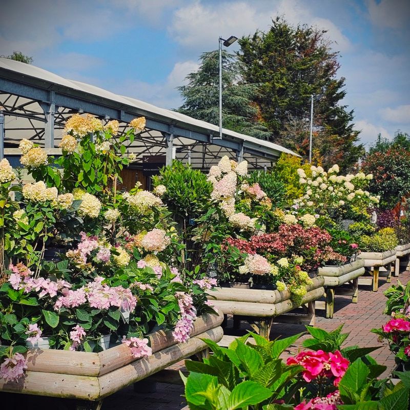 Ruxley Manor Plant Area Plant benching by stagecraft display Ltd Ruxley Manor Plant Area Plant benching by stagecraft display Ltd 4