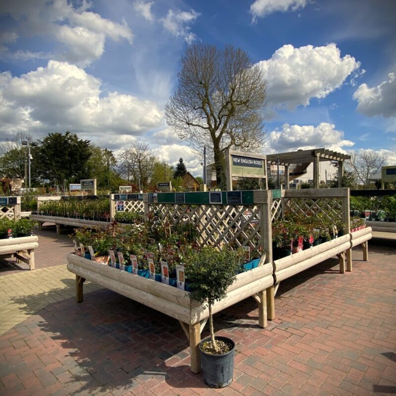 Ruxley Manor Plant Area Plant benching by stagecraft display Ltd Ruxley Manor Plant Area Plant benching by stagecraft display Ltd 3