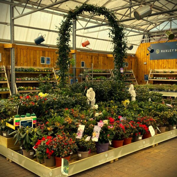 Ruxley Manor Plant Area Plant benching by stagecraft display Ltd Ruxley Manor Plant Area Plant benching by stagecraft display Ltd 2