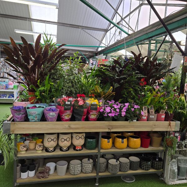 Three Tier Metal Frame timber surrounds Houseplant Display Table by stagecraft display ltd