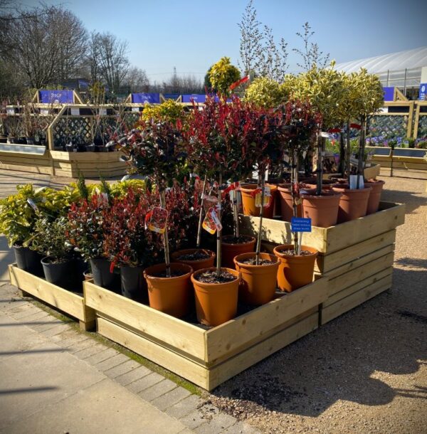 Planters Pacific Houseplant Area Cladded Hex Tables a (2) Planters Pacific Houseplant Area Cladded Hex Tables a (2)