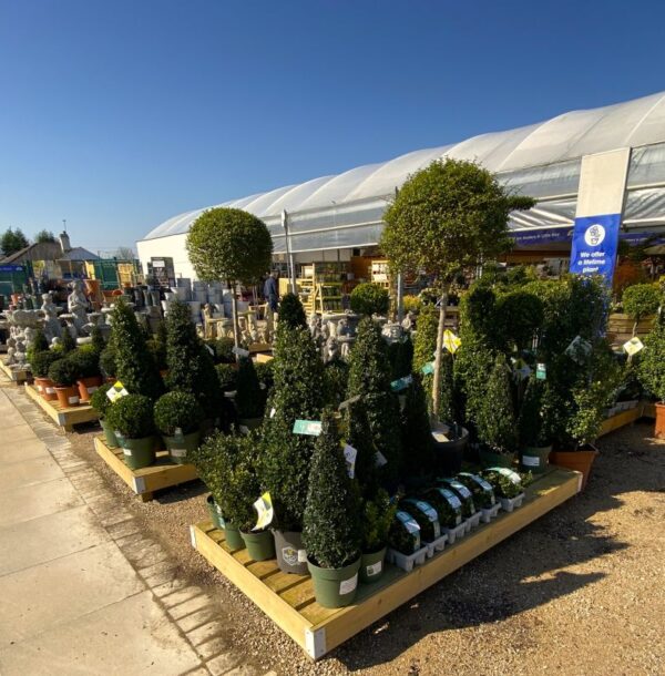 Planters Pacific Houseplant Area Cladded Hex Tables a (3) Planters Pacific Houseplant Area Cladded Hex Tables a (3)