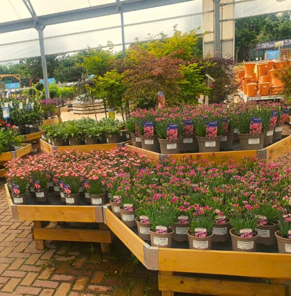 Planters Pacific Houseplant Area Cladded Hex Tables a (4) Planters Pacific Houseplant Area Cladded Hex Tables a (4)