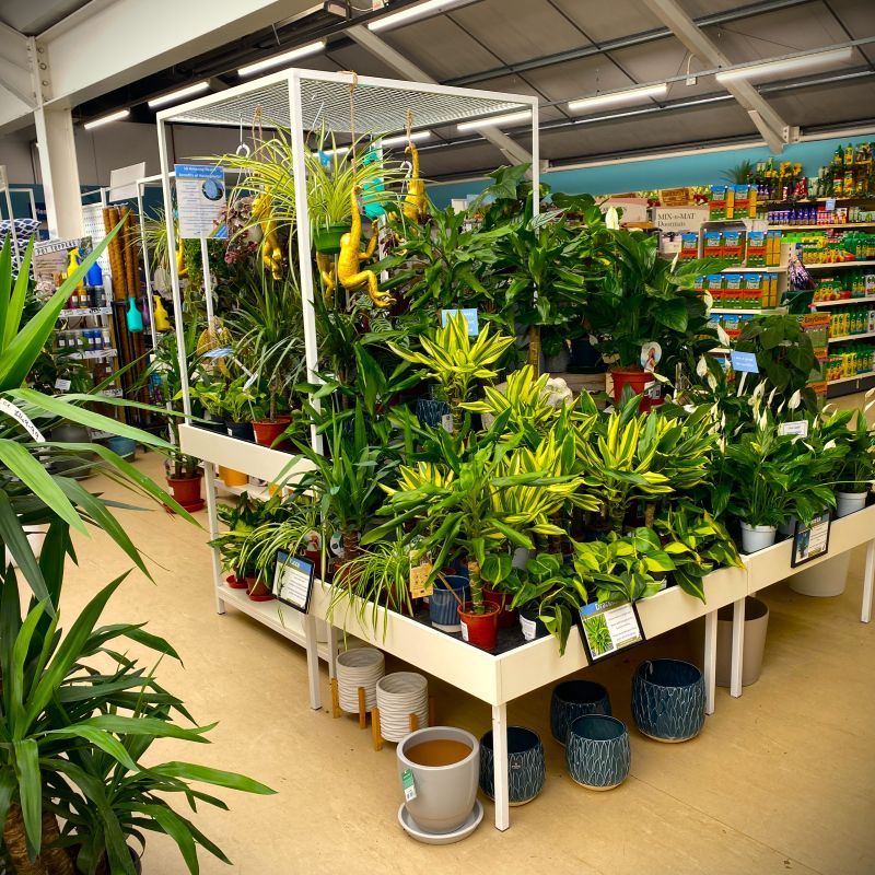 Planters Pacific Houseplant Area square Planters Pacific Houseplant Area square