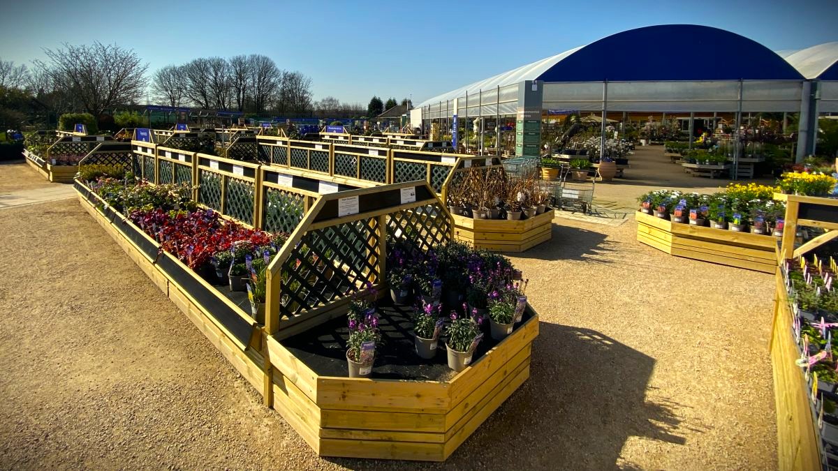 Planters Pacific Plant Area Widescreen Image